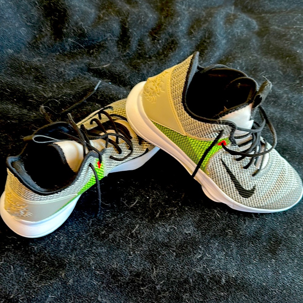 Nike LeBron Witness 4 - Sting Volt - Size 12